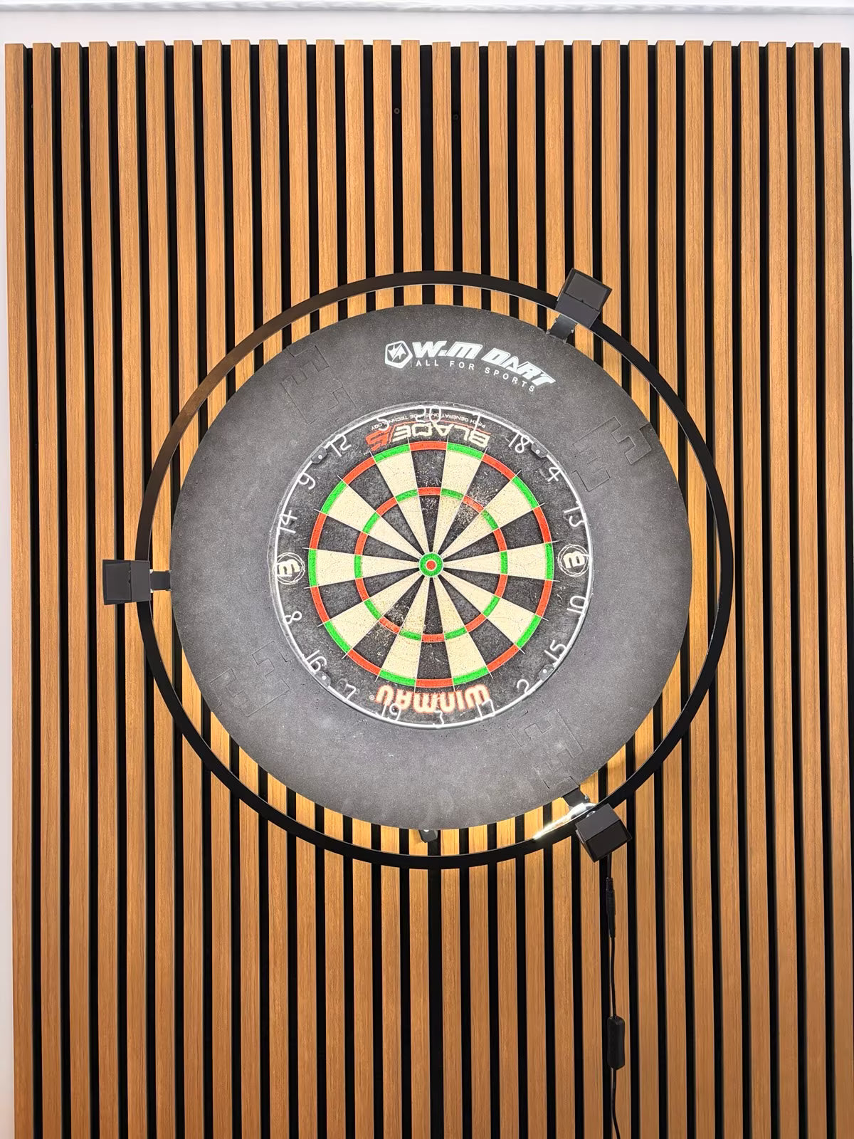 Autodarts Camera Mount Set for the Winmau Plasma Light Ring including Cable Management