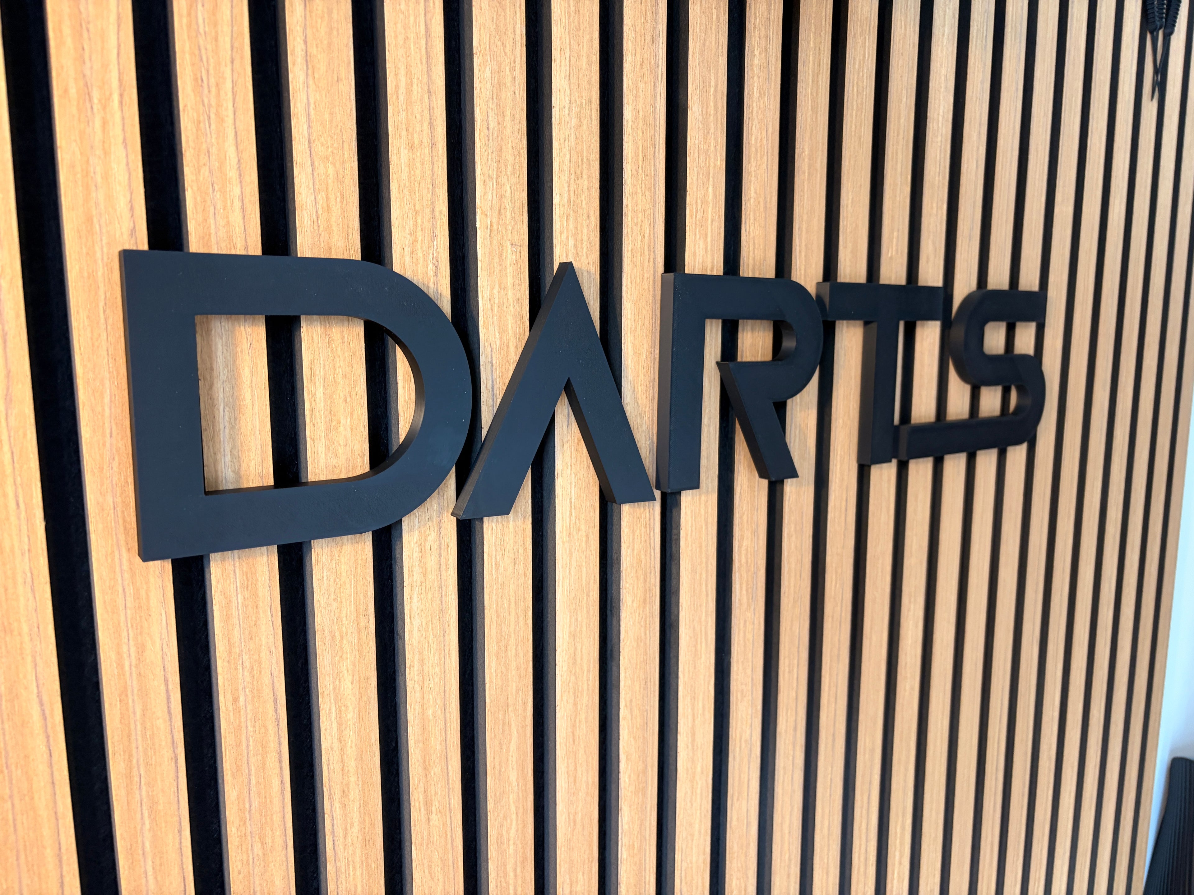 DARTS 3D Schriftzug Squid Style – Personalisierte Wanddeko für dein Dartboard